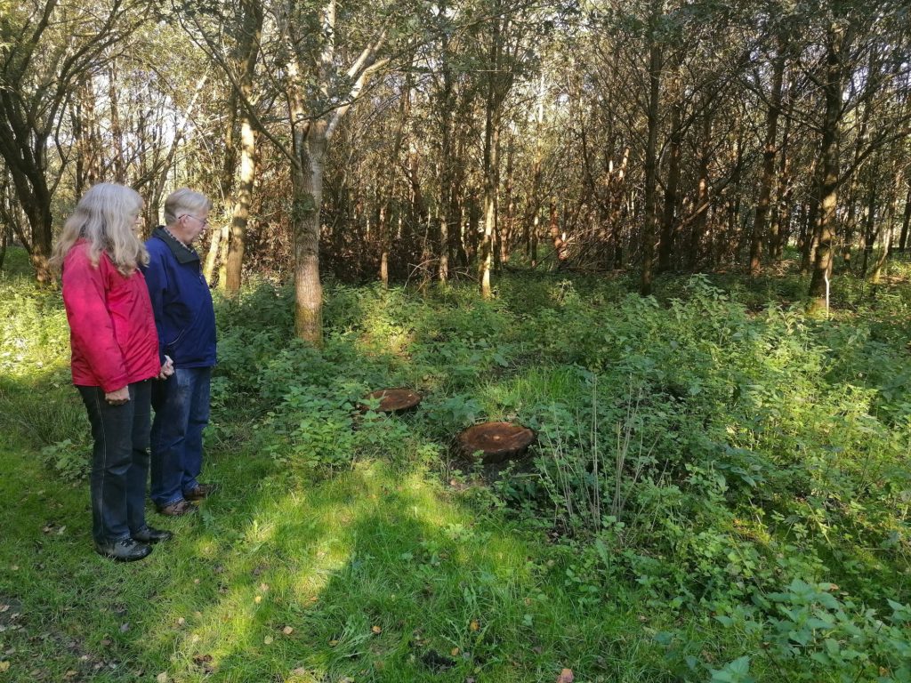 Herbegraven