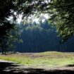 Heidehof
