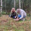 begraven