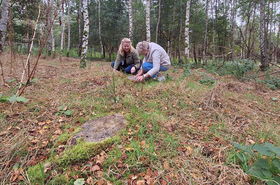 begraven