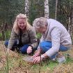 begraven